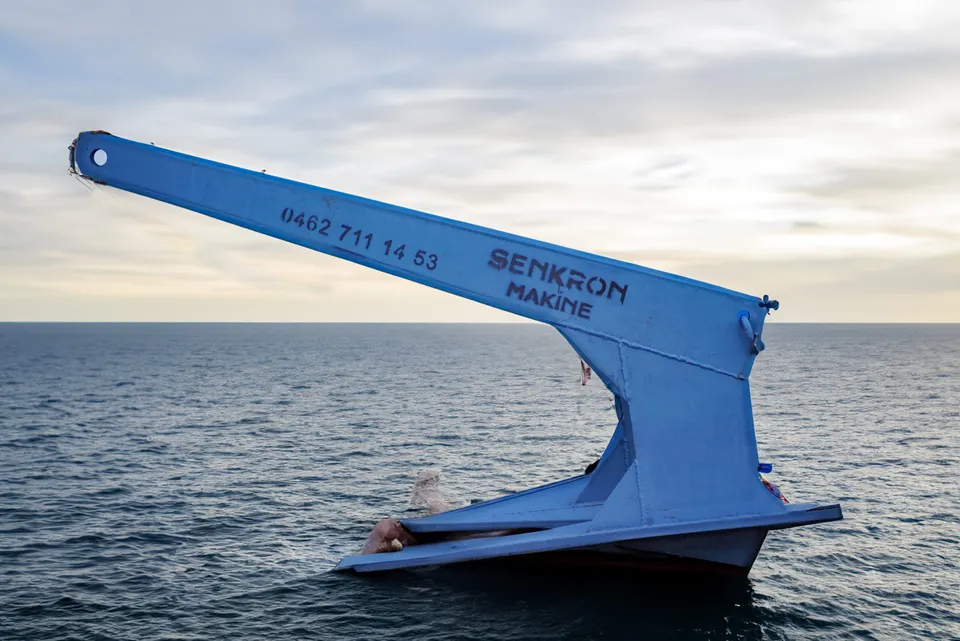 Deniz kıyısında Senkron Marine çift tırnaklı çapa